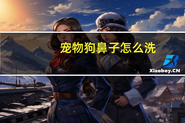 宠物狗鼻子怎么洗