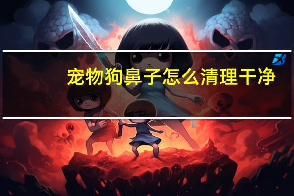 宠物狗鼻子怎么清理干净