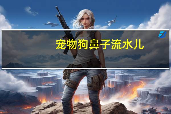 宠物狗鼻子流水儿
