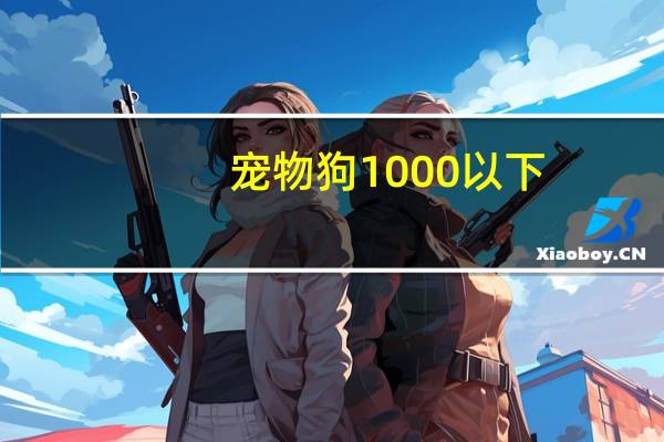 宠物狗1000以下