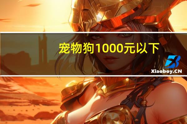 宠物狗1000元以下