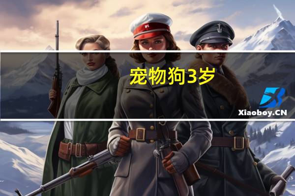 宠物狗3岁