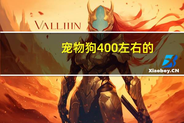 宠物狗400左右的