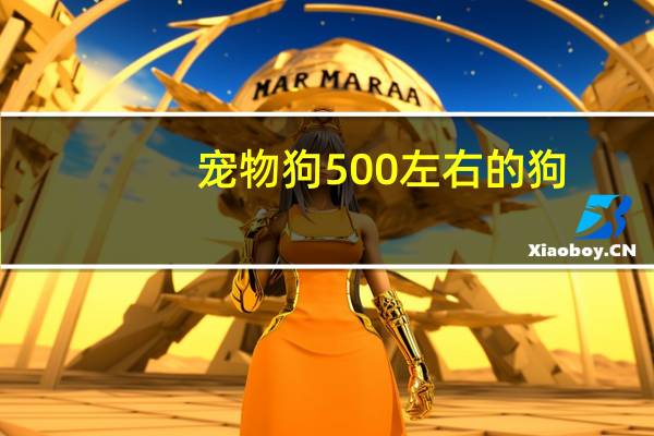 宠物狗500左右的狗