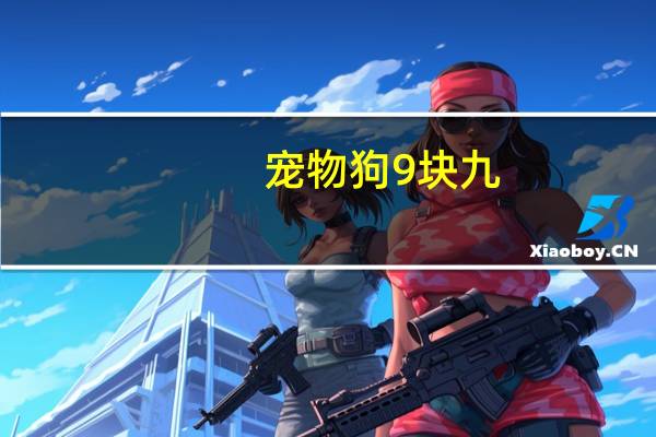 宠物狗9块九