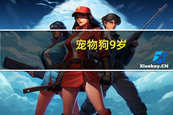 宠物狗9岁