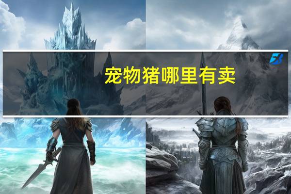 宠物猪哪里有卖