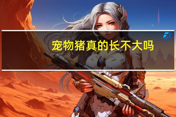 宠物猪真的长不大吗