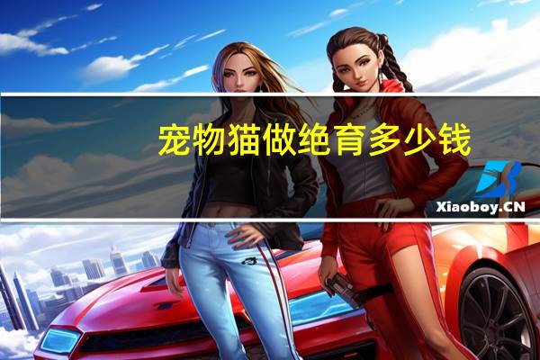 宠物猫做绝育多少钱