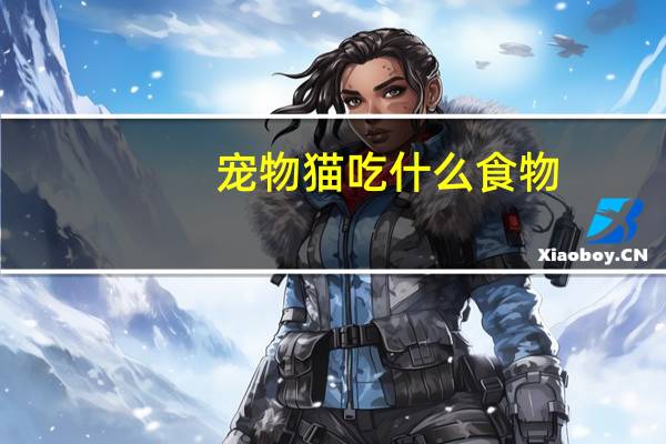 宠物猫吃什么食物