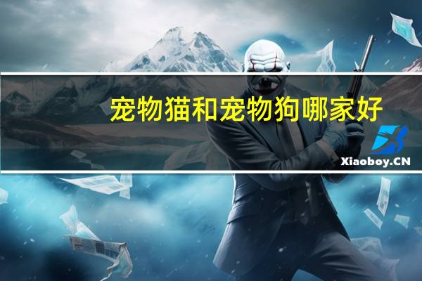 宠物猫和宠物狗哪家好