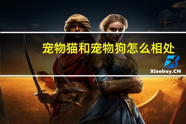 宠物猫和宠物狗怎么相处