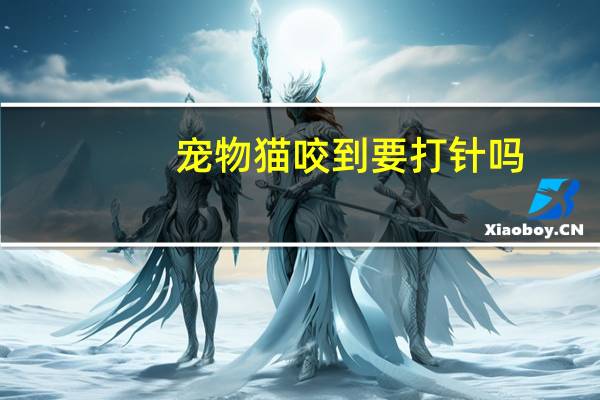 宠物猫咬到要打针吗