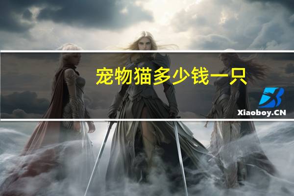 宠物猫多少钱一只