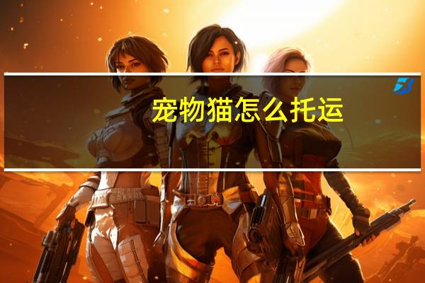 宠物猫怎么托运