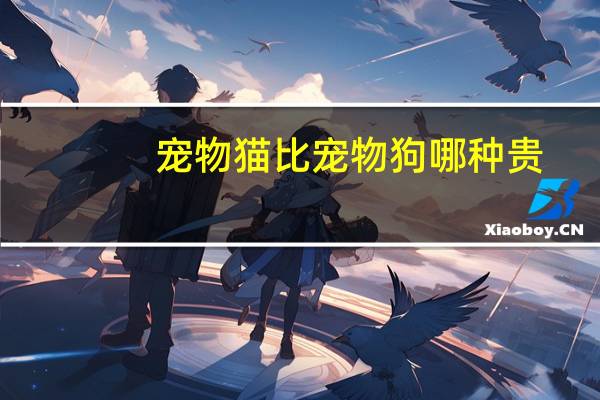 宠物猫比宠物狗哪种贵