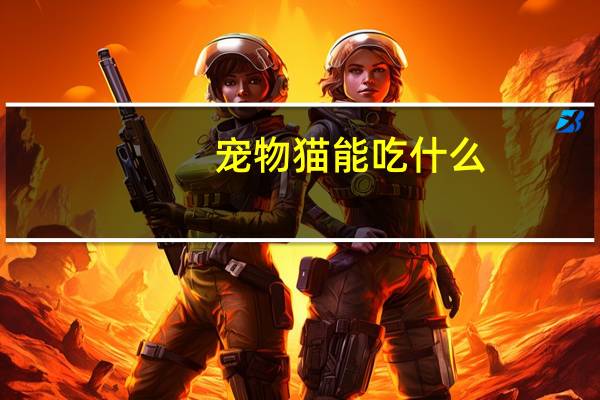 宠物猫能吃什么