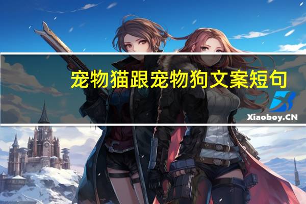 宠物猫跟宠物狗文案短句