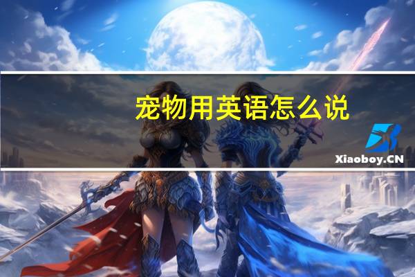 宠物用英语怎么说