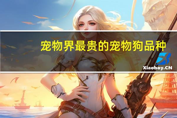 宠物界最贵的宠物狗品种