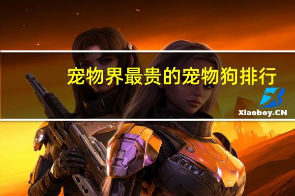 宠物界最贵的宠物狗排行