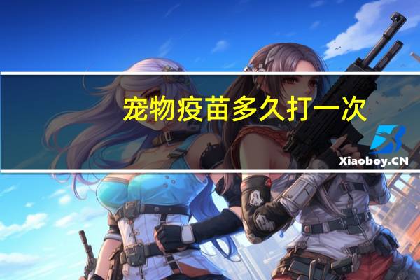 宠物疫苗多久打一次