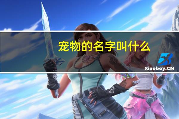 宠物的名字叫什么（宠物的名字）