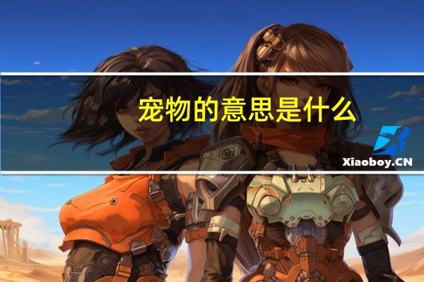 宠物的意思是什么