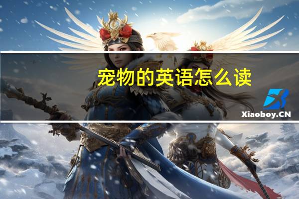 宠物的英语怎么读