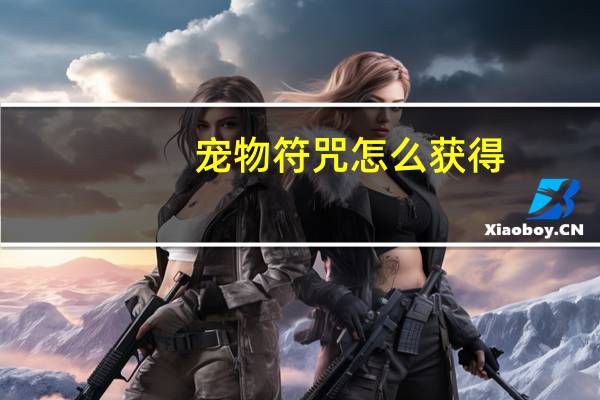 宠物符咒怎么获得