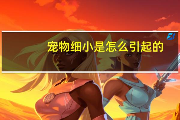宠物细小是怎么引起的