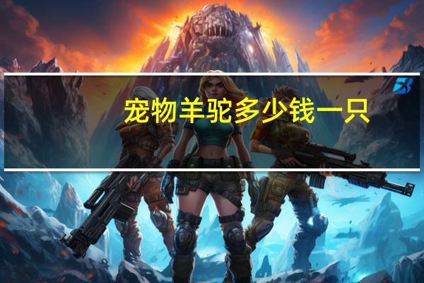 宠物羊驼多少钱一只
