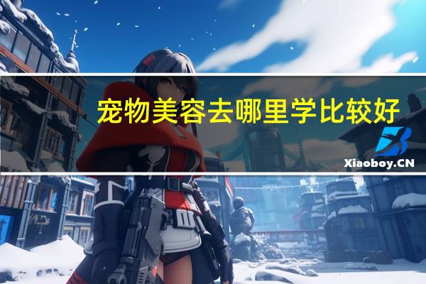 宠物美容去哪里学比较好