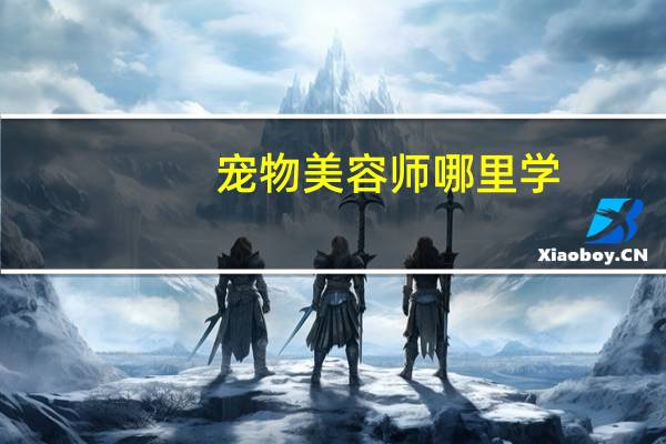 宠物美容师哪里学