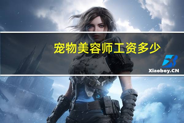 宠物美容师工资多少