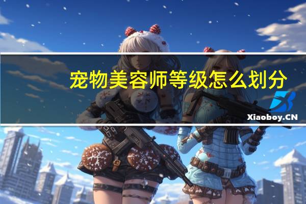 宠物美容师等级怎么划分