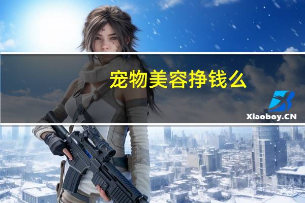 宠物美容挣钱么