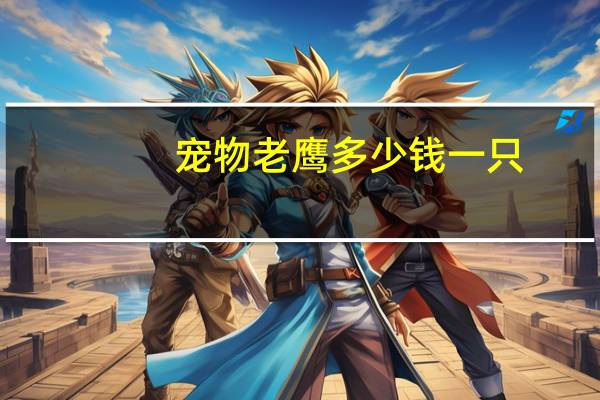 宠物老鹰多少钱一只