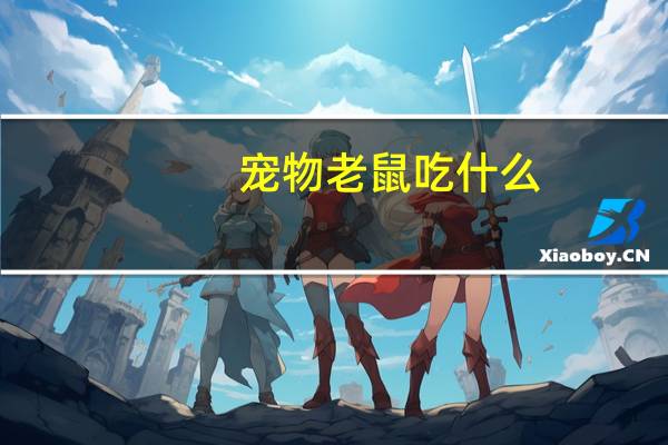 宠物老鼠吃什么