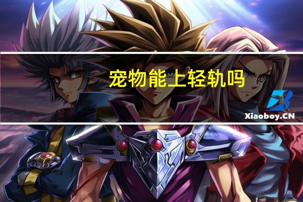 宠物能上轻轨吗
