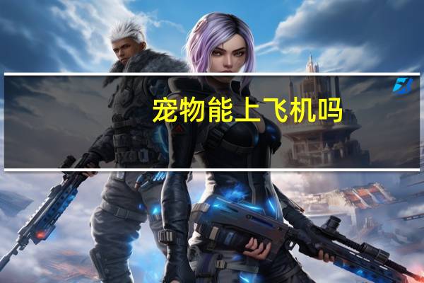 宠物能上飞机吗