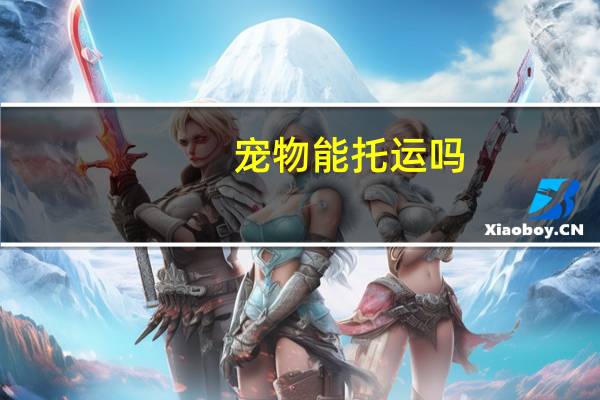 宠物能托运吗