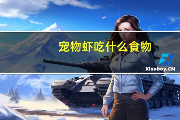 宠物虾吃什么食物