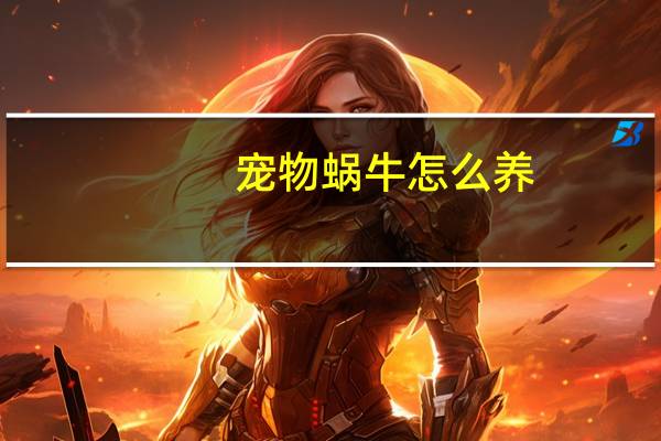 宠物蜗牛怎么养