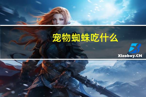 宠物蜘蛛吃什么