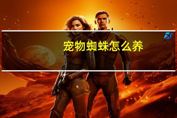 宠物蜘蛛怎么养