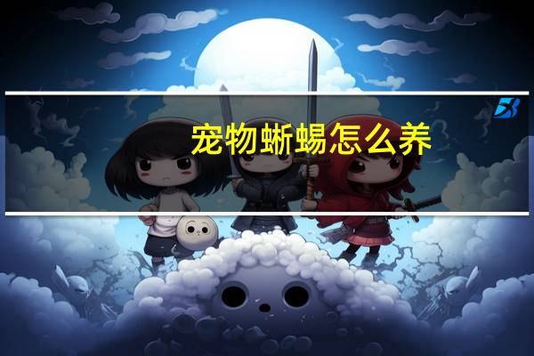 宠物蜥蜴怎么养