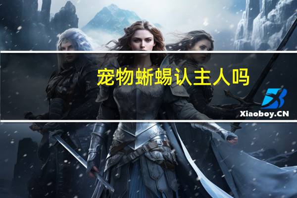 宠物蜥蜴认主人吗