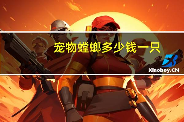 宠物螳螂多少钱一只