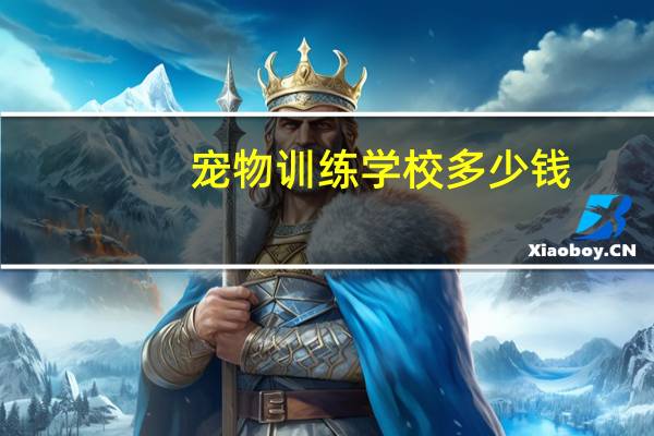 宠物训练学校多少钱